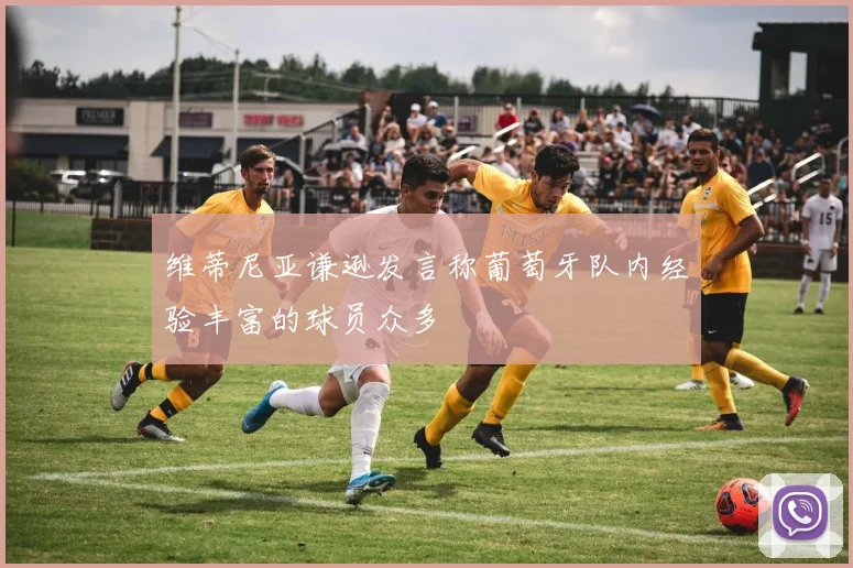 维蒂尼亚谦逊发言称葡萄牙队内经验丰富的球员众多